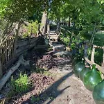 別荘 Cascina Natura Relax E Piscina Bubbio