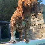 Semesterbostad Cascina Natura Relax E Piscina *
