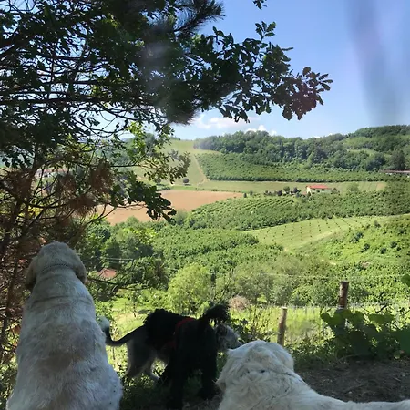 Cascina Natura Relax E Piscina