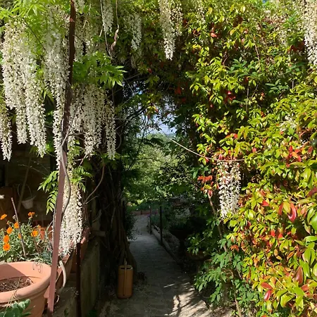 Cascina Natura Relax E Piscina