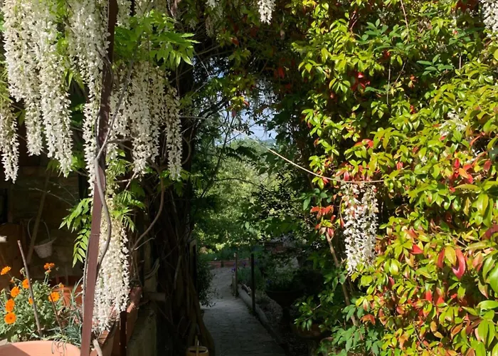 Cascina Natura Relax E Piscina